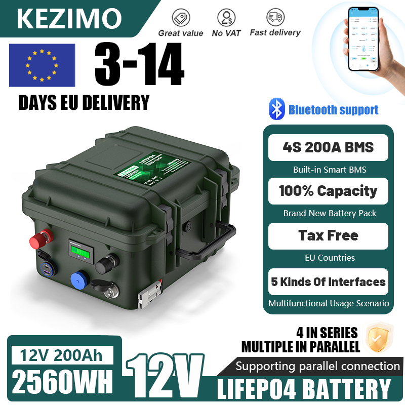 Batería LiFePO4 de 12V